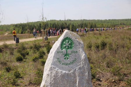 Alej roku 2018 – výsledky potěšily 